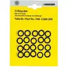 Kärcher O-ring set 2.880-208.0