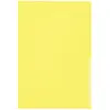 Leitz, Porte-documents, Pochettes transparentes PP A4 (A4, 100 x)