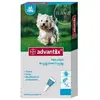 Bayer Solution Advantix Petit Chien 4 Pip.