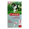 Bayer Solution Advantix Chien Moyen 4 Pip.