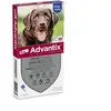 Advantix® grand chien, de 25 kg à 40 kg - 6 mois de protection (6 pipettes)