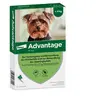 Advantage® 40 pour chien de moins de 4 kg - 4 pipettes