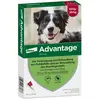 Advantage® 250 pour chien de 10 à 25 kg - 4 pipettes