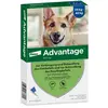 Advantage® 400 pour chien de plus de 25 kg - 4 pipettes