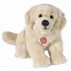 Peluche chien golden retriever assis - 30 cm