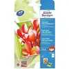 Avery Zweckform Premium - papier photo - 50 feuille(s)