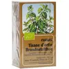 Salus Tisane Ortie Bio 15 sachets