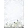 Sigel Christmas Motif Paper White Stars - Papier à motifs - A4 (210 x ...