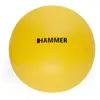 Finnlo Balle Gym 55 Cm