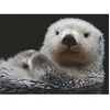 Ravensburger Douce Petite Loutre 00235