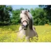 Ravensburger legpuzzel Paard in een koolzaadveld, puzzel voor volwassenen, 500 stukjes, 12000210
