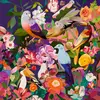 Puzzle 750 pièces Ravensburger Observation des oiseaux Art & Soul