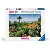 Ravensburger Botanical Garden, Madeira (1000).