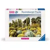 Ravensburger Jardin du Désert de Huntington, Californie, États-Unis 00850