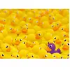 Ravensburger Canards 00587