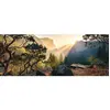 Ravensburger puzzel Nature Edition N°10 - Yosemite Park - 1000 stukjes.