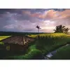 Ravensburger Nature Edition - Rizières au Nord de Bali 00642