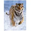 Ravensburger Tigre dans la Neige 00148