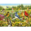 Ravensburger puzzel Vögel - 500 stukjes.