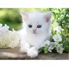 Ravensburger Chaton blanc (1500 pièces)