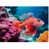 Ravensburger Red Lionfish