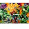 Ravensburger puzzel Green Lantern 1000 stukjes - film merchandise.