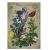 Ravensburger Butterfly