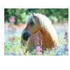 Puzzle 300 pièces Ravensburger - Cheval sur champ de fleurs