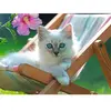 Puzzle 200 pièces Ravensburger - Chaton Blanc