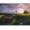 Ravensburger - Puzzle Rizières à Bali, 500 pièces, idée cadeau, pour e...