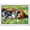 Ravensburger Kit De Peinture Chat Et Chien