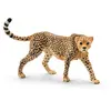 Schleich Safari - LUIPAARD, WIJFJE 14746