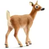 Schleich World of Nature: Wild Life - Biche à queue blanche