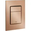 GROHE Skate Cosmopolitan S Bedieningspaneel Toilet - Verticaal - Dual ...