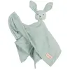 Roba Doudou Lapin Bio Lil Planet - Roba - 40 X 40 Cm - Vert