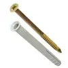 Fischer FISCHER CHEVILLE A FRAPPER N 10X135 BTE 50P F.