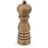Peugeot Paris Antique Zoutmolen 18 cm - Antiek