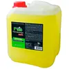 F100 Détergent Désinfectant 5l