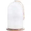 Cloche en plastique avec socle ø8cm x 13cm - Rayher Incolore