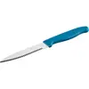 Fackelmann Nirosta Couteau de cuisine dentelé Elemental avec manche New Green PP, lame 1.4028 / AISI 420 215 x 25 x 10 mm