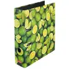 Falken HERLITZ 10485134 CLASSEUR A4 S80 (CITRONS)