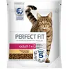 Perfect Fit Adult 1+ Riche en poulet pour chat - 2,8 kg