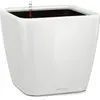 LECHUZA Pot Quadro Premium Ls 21 - Kit Complet, Blanc Brillant 21 Cm