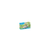 Playmobil Professeur De Course
