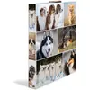 HERMA Classeur à anneaux 'Animals' - chiens, A4, mécanisme à