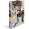 HERMA Classeur à anneaux 'Animals' - chevaux, A4, mécanisme