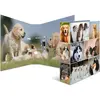HERMA Classeur à levier à motifs 'Animals', A4, chiens