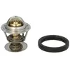 Thermostaat koelvloeistof TX17388D Mahle