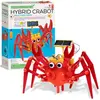 Jouet éducatif - 4M - Kit de crabe rampant à énergie solaire - Vert - Extérieur