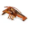 Figurines Collecta Figurine Animaux Marins Deluxe : Homard